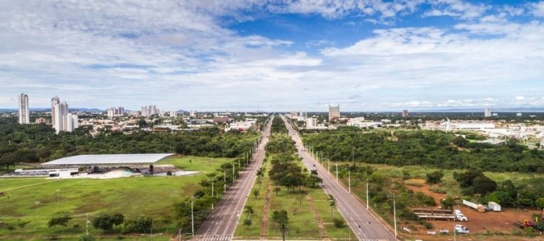 Palmas